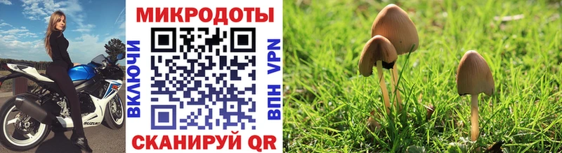 Купить закладки  Гремячинск  Псилоцибиновые грибы Psilocybine cubensis 