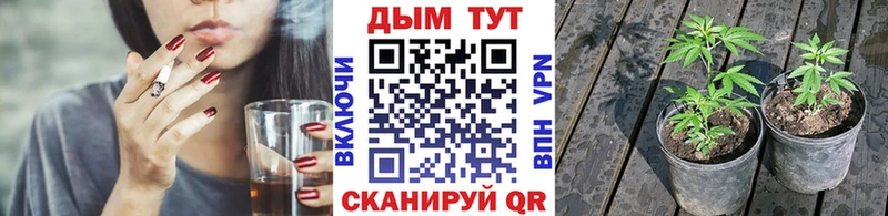 Купить  Гремячинск  Марихуана семена 